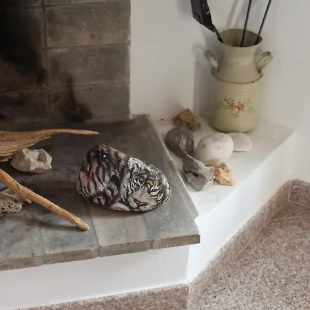 Casa Delle Rose Apartment